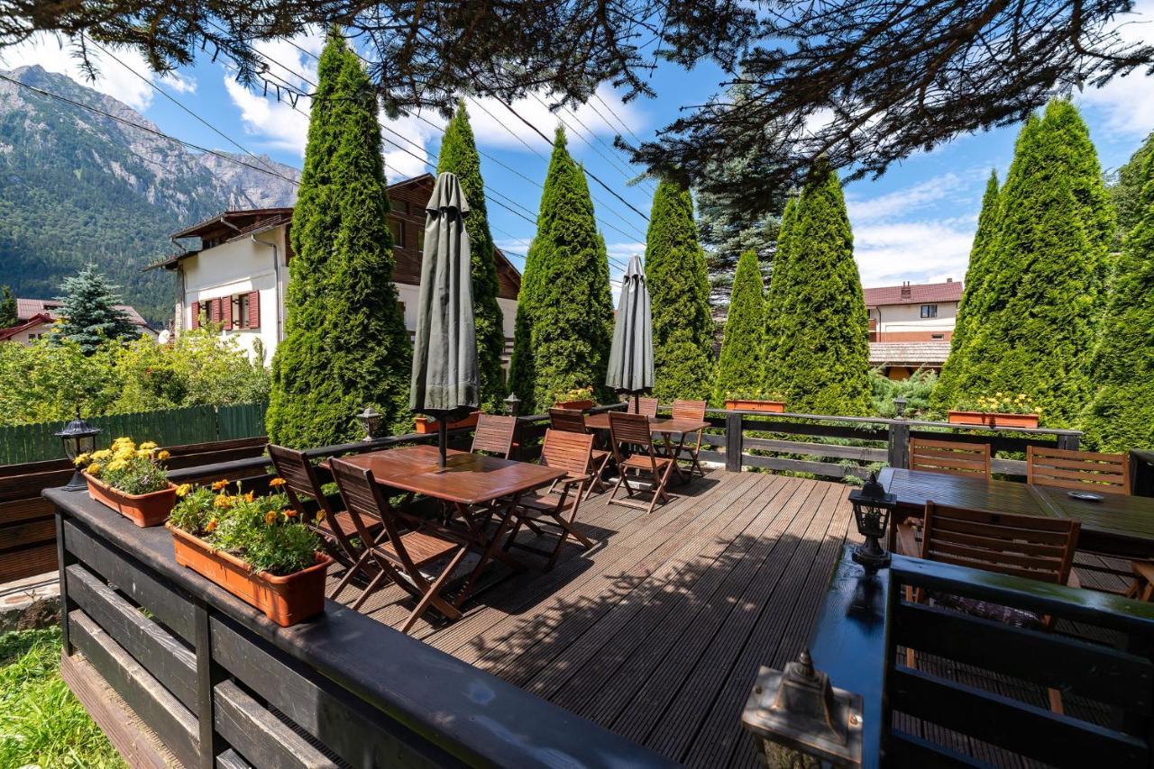 Casa Freya Hotell Buşteni Exteriör bild