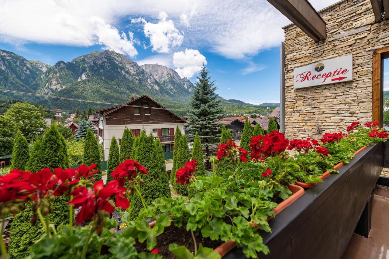 Casa Freya Hotell Buşteni Exteriör bild